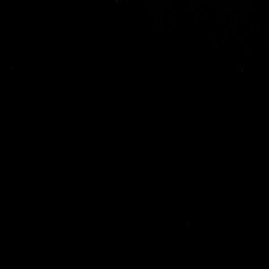 Meet your Posher, Devy